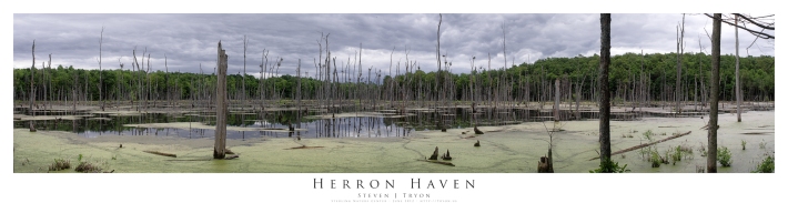 Heron Haven